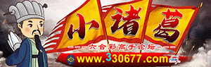 小诸葛资料站