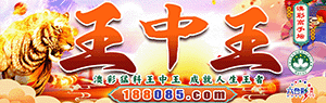 王中王资料站