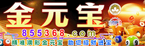 金元宝高手坛